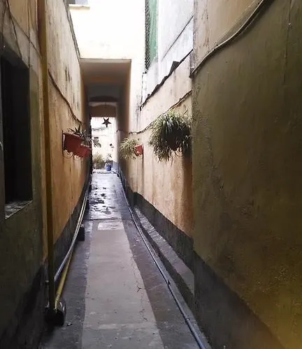 La Colonial